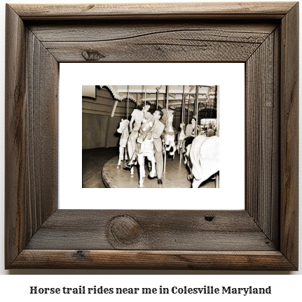 horse trail rides near me in Colesville, Maryland